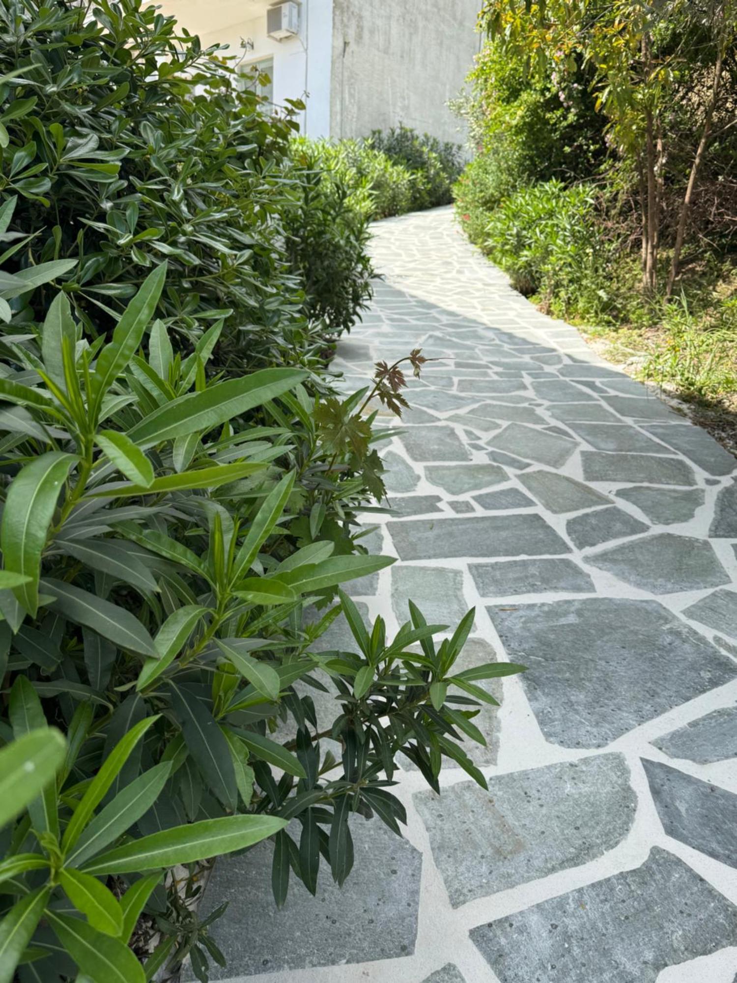 Skiathos Country Studios Exteriör bild