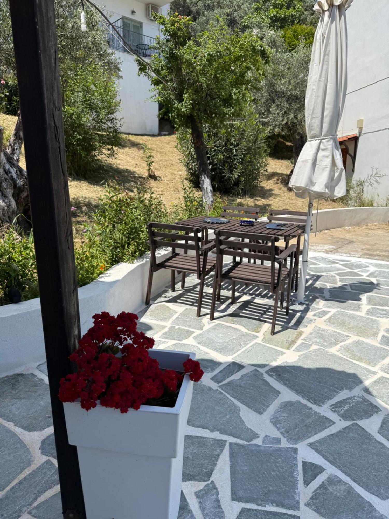 Skiathos Country Studios Exteriör bild